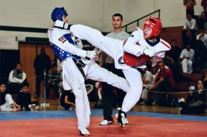 Taekwondo Fight Club Connection